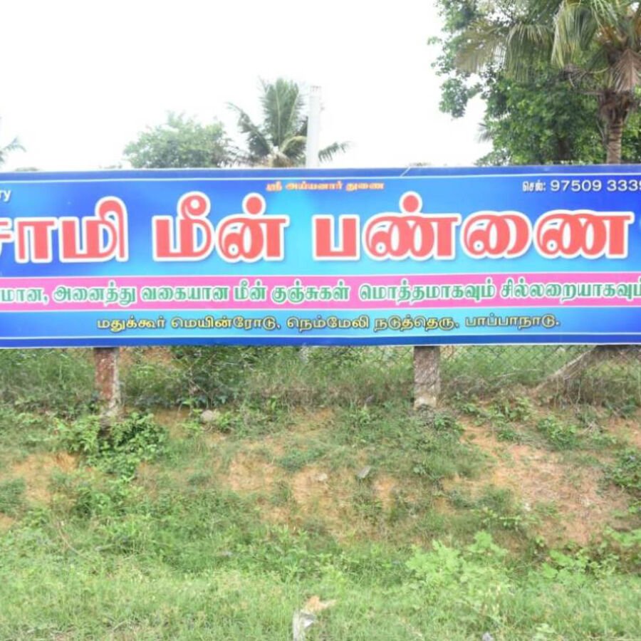 Fish Farming
